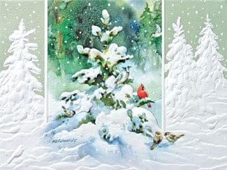 Forest Snow Box Cards