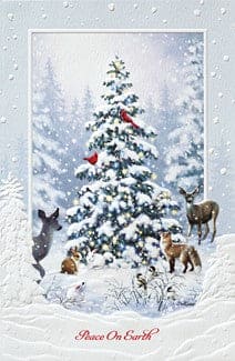 Woodland Christmas Box Cards