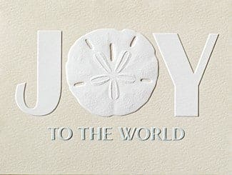 Sand Dollar Joy Box Cards