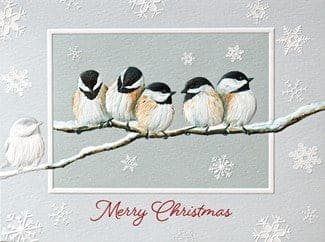 Chickadee Chorus Box Cards