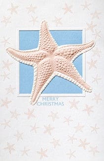 Splendid Starfish Box Cards