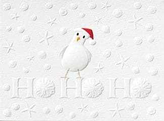 Ho Ho Ho Seagull Box Cards