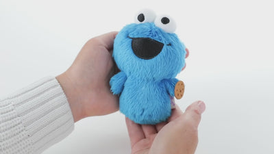 Sesame Street Cookie Monster Plush With Sound