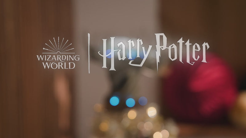 Harry Potter and the Chamber of Secrets™ Collection Harry Potter™ Ornament With Light and Sound