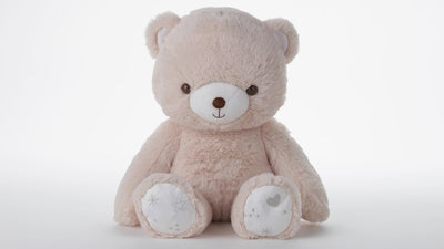 Story Time Snuggle Bear Plush With Light, 12"