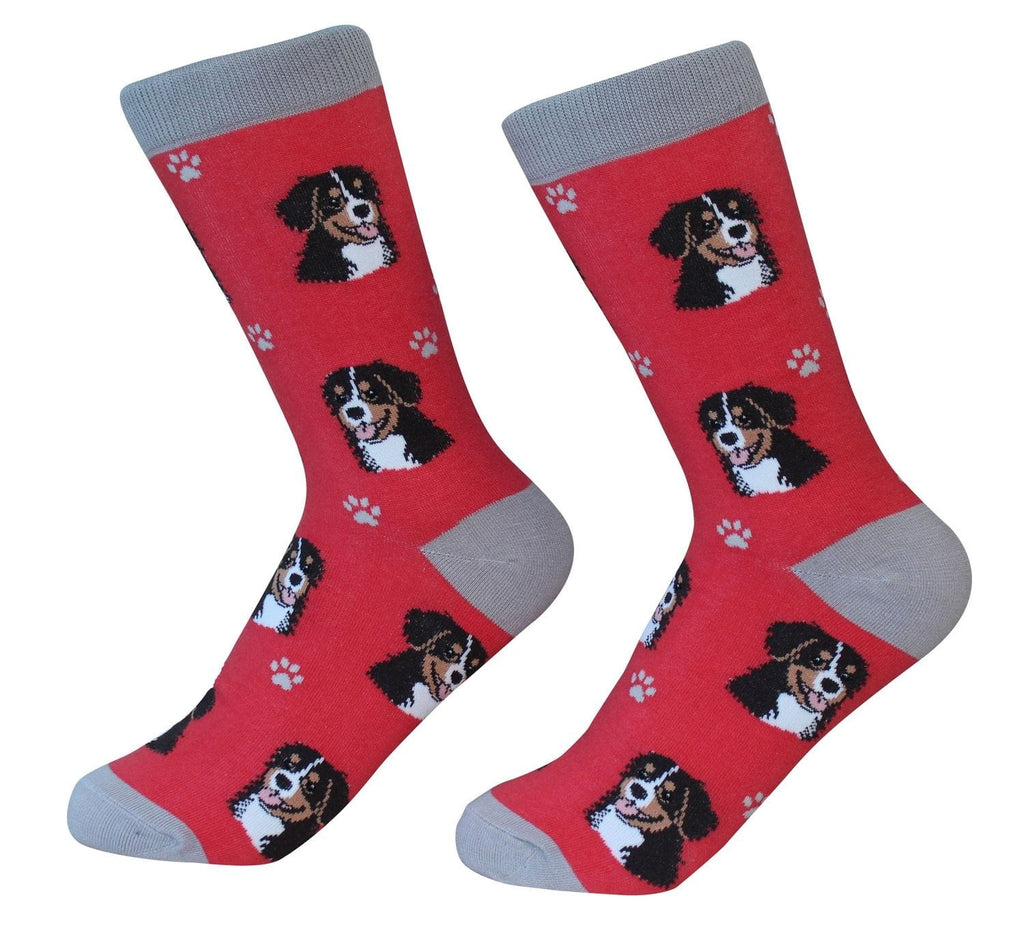 Bernese Mt. Dog - Socks