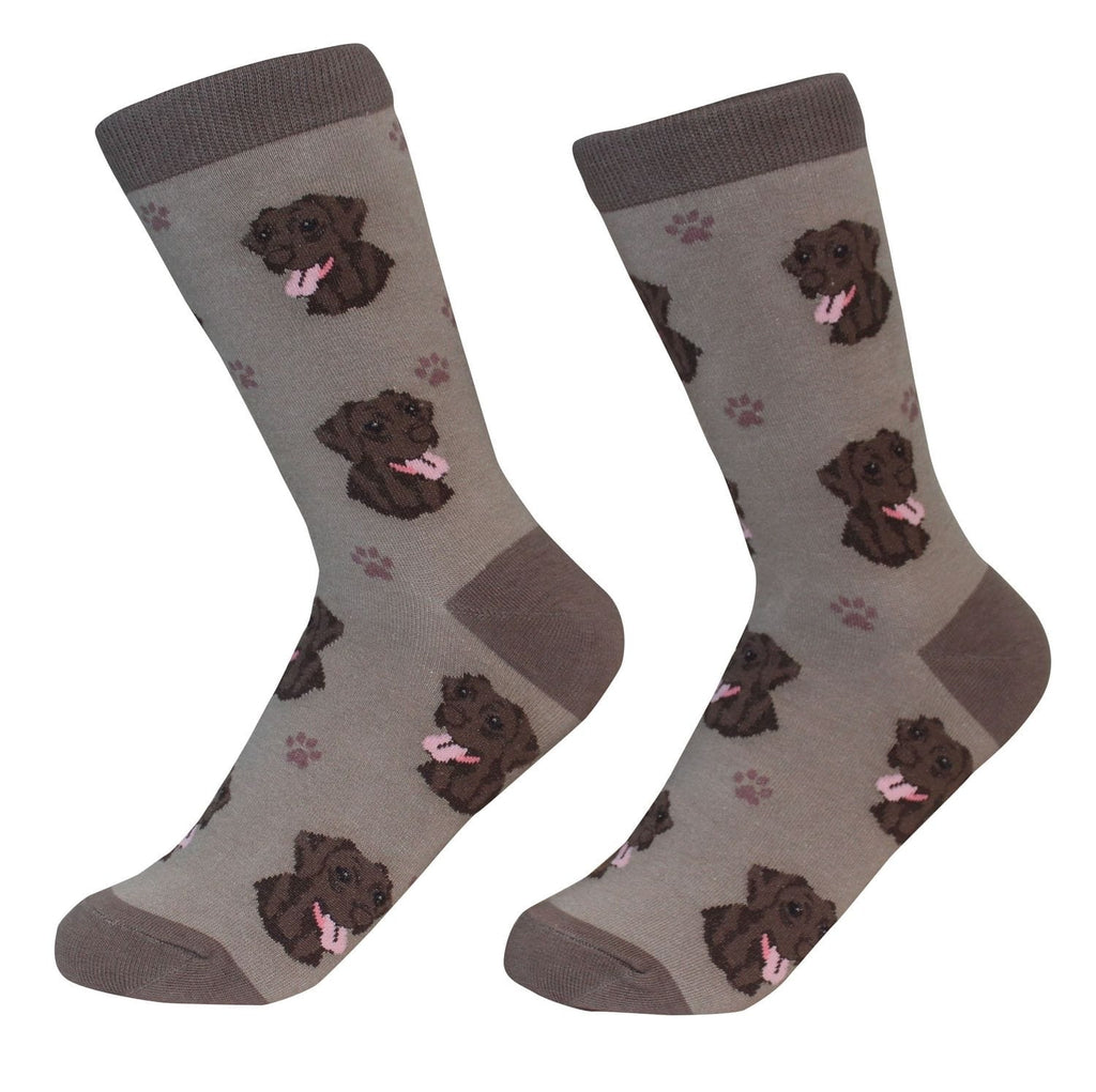 Chocolate Labrador - Socks