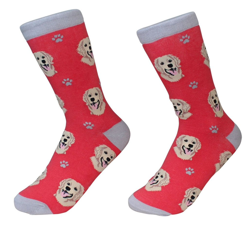 Golden Retriever - Socks