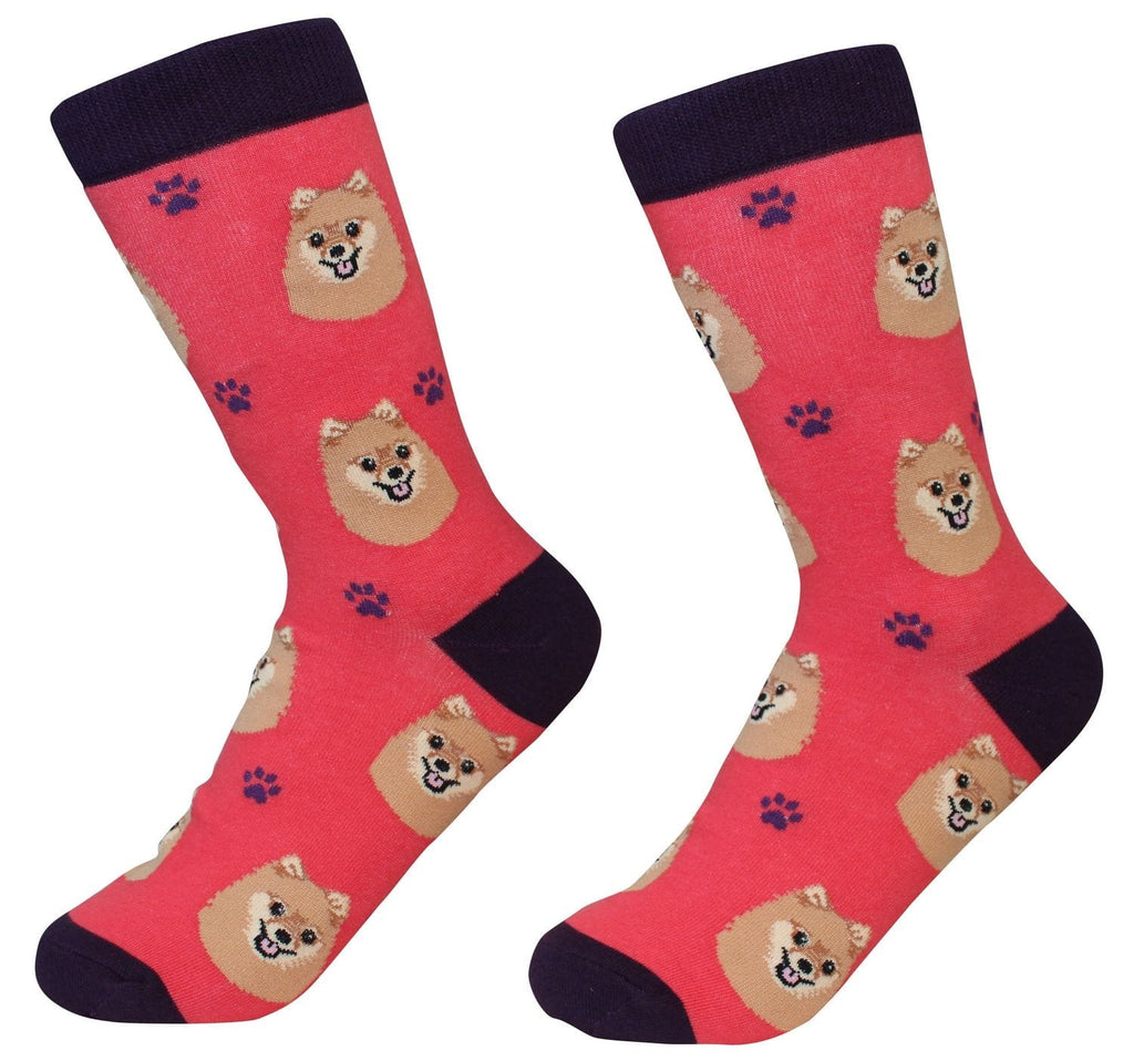 Pomeranian - Socks